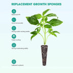 100Pcs Seed Grow Sponges Replacement Root Growth Sponges Seedling Starter Plugs Starting Seed Pod Hydroponic Garden Planting