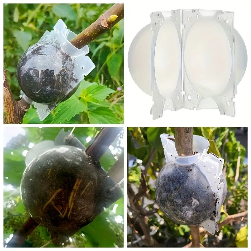 10pcs Plant Propagation Box Set High-Pressure Grafting, Cutting, and Rooting Kit for Tree Branches with Pressure Balls