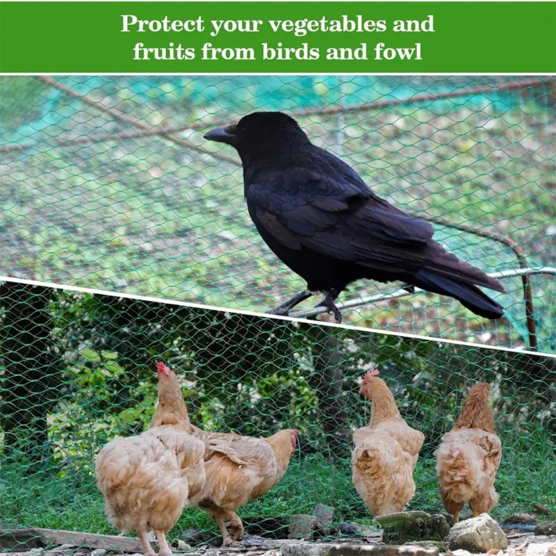 5/10M Garden Protect Netting Anti Birds Net Animals Deer Fencing Mesh for Fruits Trees Plants Stretch Durable Pest Barrier 그물망