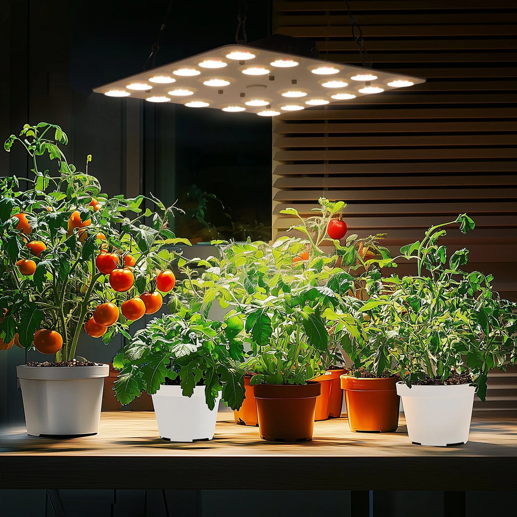 LED Grow Light 500W 600W 800W 1000W Diode Full Spectrum Silent Quantum Board Used for Greenhouse Tent Hydroponic Plant