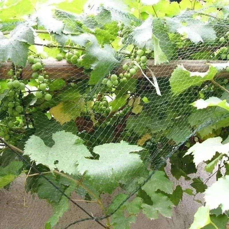 5/10M Garden Protect Netting Anti Birds Net Animals Deer Fencing Mesh for Fruits Trees Plants Stretch Durable Pest Barrier 그물망