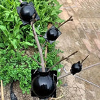 12pcs Plant Root Growing Box Propagation Reusable Rooting Grafting Breeding Seedling Garden Plant Rooting Ball Garden Supplies