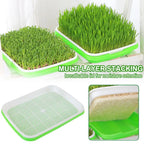 Hydroponic Microgreens Sprouter Tray Seed Sprouting Plates Wheatgrass Grower Nursery Trays for Home Garden Soilless System