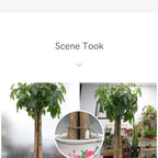 Soil Moisture Meter High Precision Hygrometer Sensor Monitor Indoor Outdoor Garden Plants Care Planting Humidity Test Tool