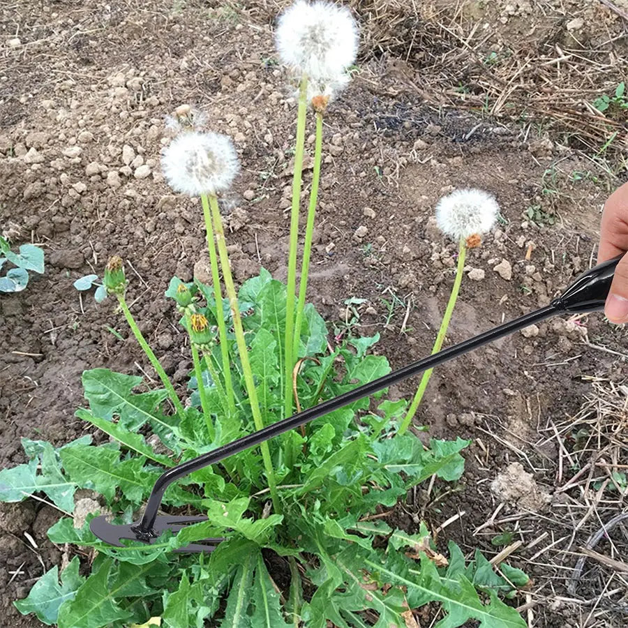 Garden Hoe Agricultural Supplies Weeds Tool Gardening Tools Utensils Hand Herbicide Weed Teacher Farming Farm Accessories