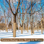Winter Tree Protection Wrapping Arpillera Material 1 Rollo Cold Climate Exterior Garden Trunk Cover for Cold Weather