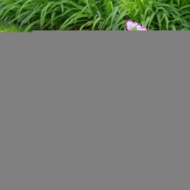 5pcs, Thickened Plastic Planter Tray - Mobile Base With Drain Tray For Planter Pots.