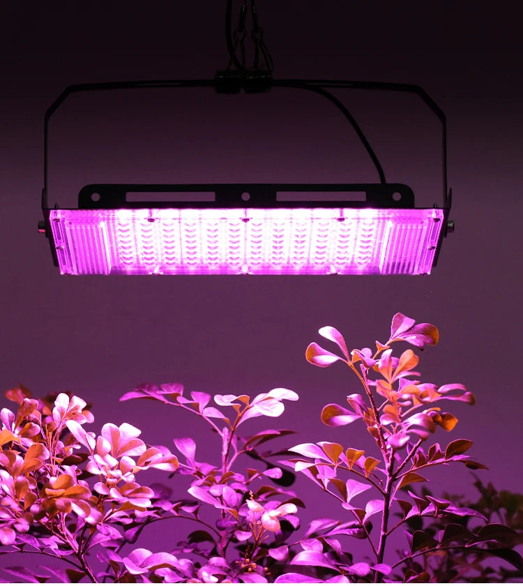 Led Grow Light 50W 100W 150W 220V Outdoor Full Spectrum LED Plant Growth Lamp Led Spotlight Projector Streetlight Led Floodlight