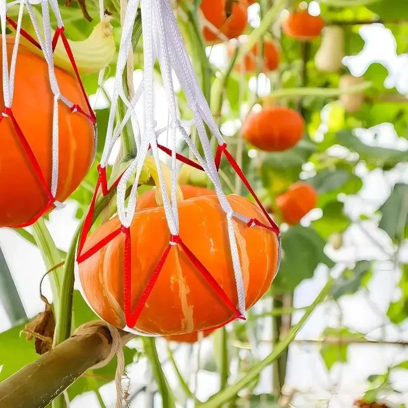 Watermelon Mesh Bag Hammock Reusable Melon Hanging Net Bag Fruit Harvest Trellis Hammock For Watermelon Pumpkin Cantaloupe