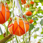 Watermelon Mesh Bag Hammock Reusable Melon Hanging Net Bag Fruit Harvest Trellis Hammock For Watermelon Pumpkin Cantaloupe