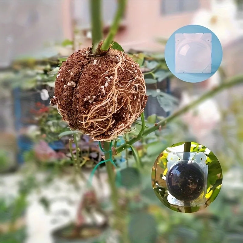 10pcs Plant Propagation Box Set High-Pressure Grafting, Cutting, and Rooting Kit for Tree Branches with Pressure Balls