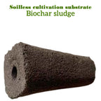 50pcs Seed Root Growth Sponges Soilless Growing Seedling Growth Helper Seed Starter Plugs for Hydroponic Flowers Plants