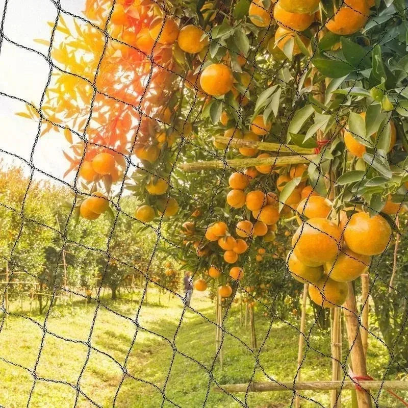 5/10M Garden Protect Netting Anti Birds Net Animals Deer Fencing Mesh for Fruits Trees Plants Stretch Durable Pest Barrier 그물망