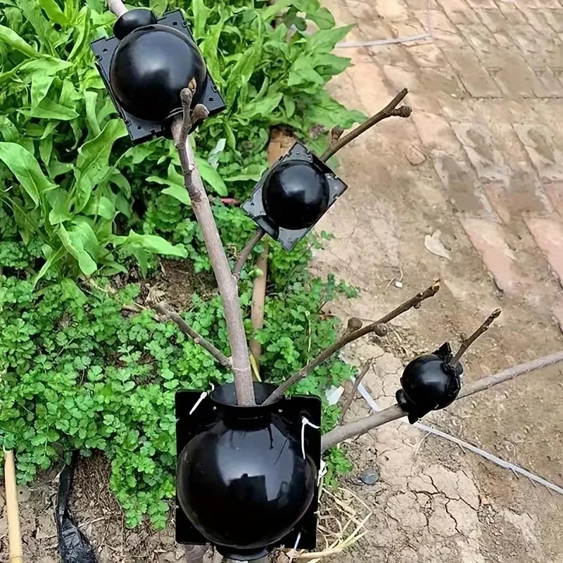 12pcs Plant Root Growing Box Propagation Reusable Rooting Grafting Breeding Seedling Garden Plant Rooting Ball Garden Supplies
