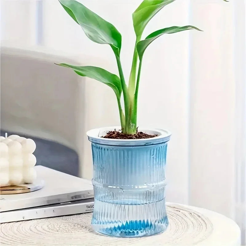 Transparent Double Layer Self Watering Planter Lazy Hydroponic Flower Pot Office Plastic Plant Container