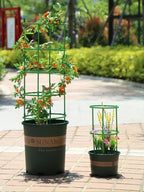 Plastic Plant Support Stakes for Flowers and Greenhouses