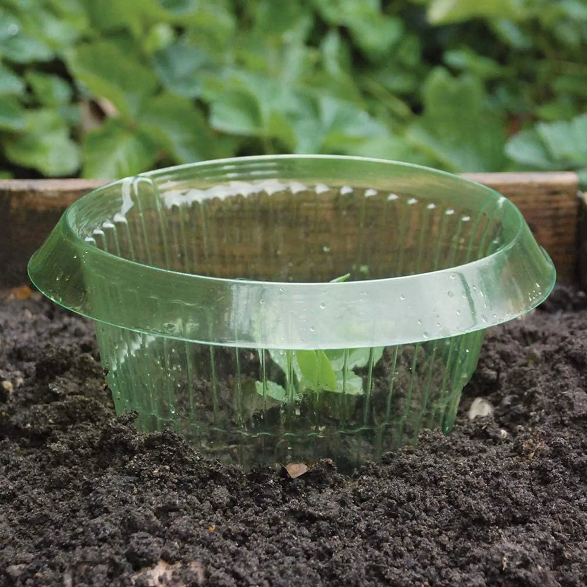 Plants Slug Protection Rings Vegetables Cover Plant Snail Collar Guard Green Planter Flower Pot Pest Control Trapper Garden Tool