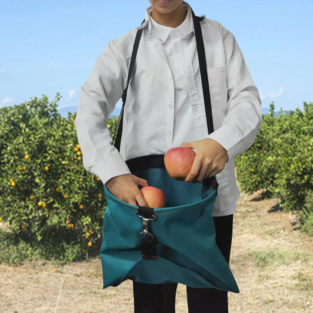 High Efficiency Fruit Farm Picking Bag Fruit Picker Harvest Basket Agricultural Cloth Bag Eco Friendly Shopping Bag for Garden