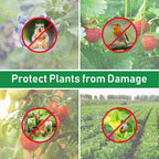 Garden Plant Insect Netting Vegetable, Flower and Fruit Care Cover Netting Pest Control Bird-proof 60 Mesh Protective Netting