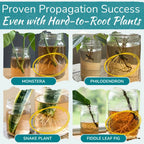 Rapid Plant Rooting Liquid Hormone Fast Propagation Solution Promote Strong Root Growth Fertilizer for Indoor Houseplants Care