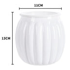 Clear Self Watering Planters Pots Modern Transparent Plants Care Pots for Garden Enthusiast Lover Gift