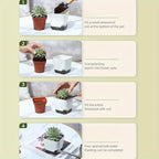 5Pcs Plant Pots, Self Watering Flower Pots Indoor Outdoor, Self Watering Planters with Drainage Hole & Clear Saucer Reservoir