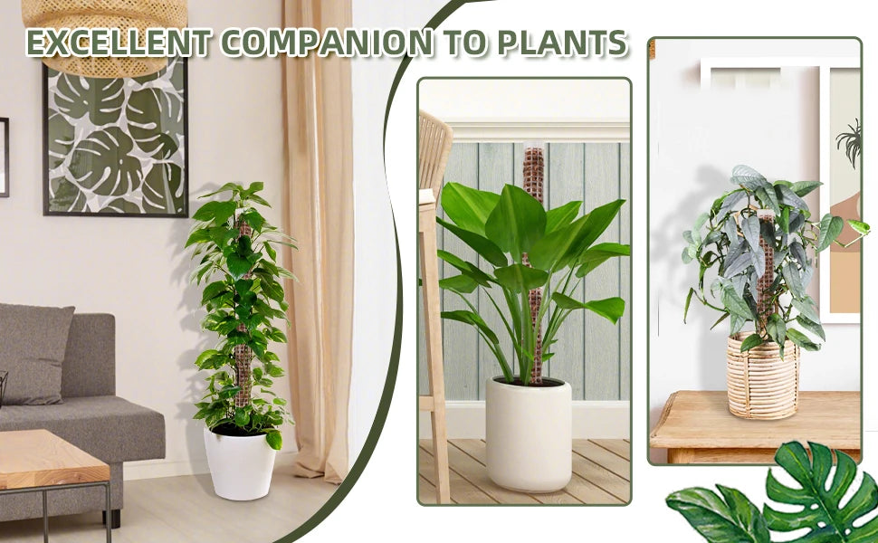 Plants Moss Pole Garden Subject Flower Plant Climbers Bonsai Accessories Pots Tutors ,for Planters Plants Growth Holder Support