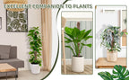 Plants Moss Pole Garden Subject Flower Plant Climbers Bonsai Accessories Pots Tutors ,for Planters Plants Growth Holder Support