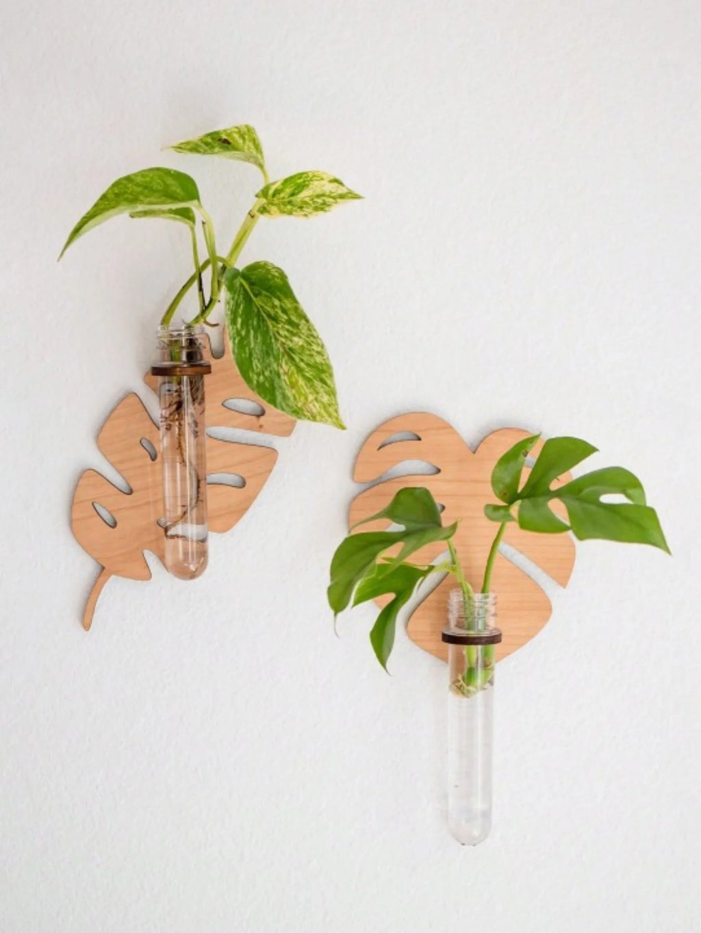 1/2 Pcs Leaf Shape Wall Planters Wooden Wall Hanging Plant Pots with Test Tube Vase Indoor Propagation Station Home Garden Decor
