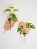 1/2 Pcs Leaf Shape Wall Planters Wooden Wall Hanging Plant Pots with Test Tube Vase Indoor Propagation Station Home Garden Decor