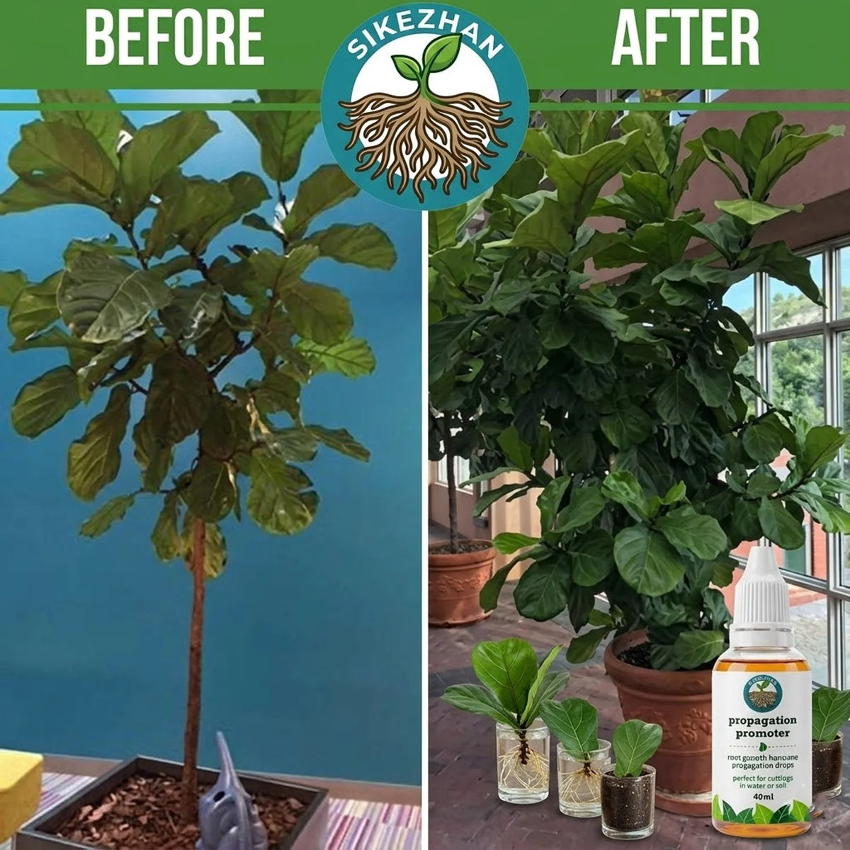 40ml Fast Plant Rooting Liquid Propagation Promoter Drops for Indoor Plants Stem Cuttings Water Soil Root Growth Enhancer