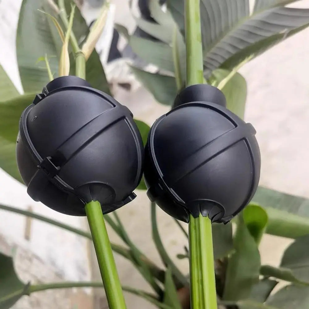 Propagation Ball Air Layering Pods Grafting Case For Fruit Tree Potting Substrate Care Indoor Gardening Aquaponics Hydroponics