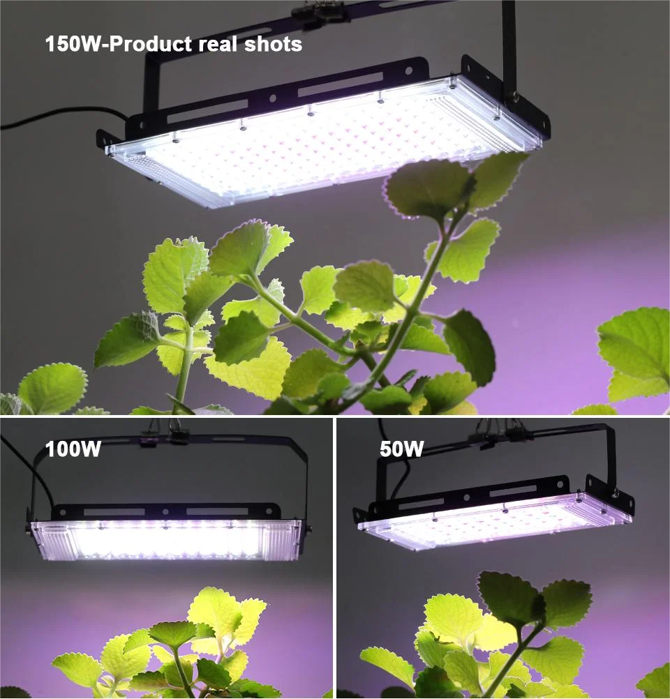 LED Grow Light Phytolamp For Plants USB 5V Sunlike Full Specturm Plant Lights Adjustable Brightness Floodlight Hydroponic IP65