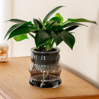 Creative Self Watering Hydroponic Plants Pot Removable Plastic Flowerpot Transparent Mini Succulent Planter Tabletop Vase