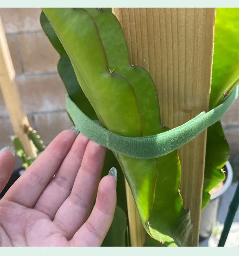 10m Reusable Nylon Plant Ties Green Garden Plant Bandage Cable Ties Self Adhesive Plant Fastener Tape for Plants Garden Home