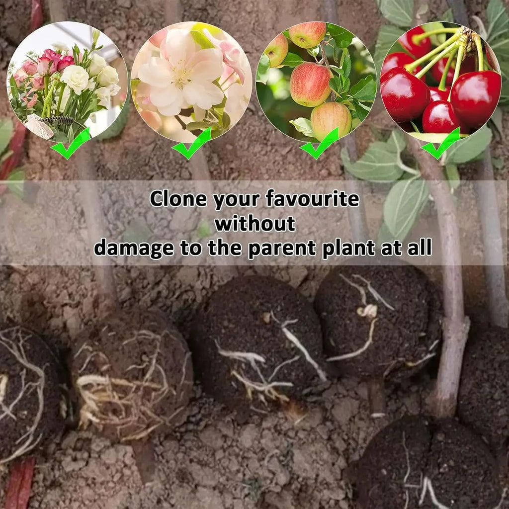 Plant Rooting Ball Air Layering Pods High Pressure Propagation Root Grow Box Graft Breeding Growing Case Planting Nursery Pot