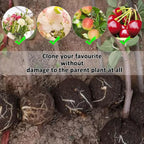 Plant Rooting Ball Air Layering Pods High Pressure Propagation Root Grow Box Graft Breeding Growing Case Planting Nursery Pot