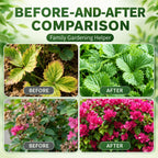 Plant Rooting Promoter Germination Kit｜Nourishes Seedlings and Strengthens Roots, Promotes Plant Germination, Improves Yellowing of Leaves, Accelerates Rapid Rooting, Enhances Root Vitality, Reduces Transplant Stress, Suita
