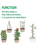 Natural Bamboo Garden Stakes for Climbing Plants