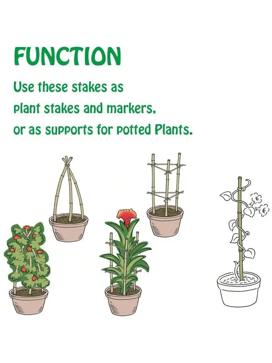 Natural Bamboo Garden Stakes for Climbing Plants