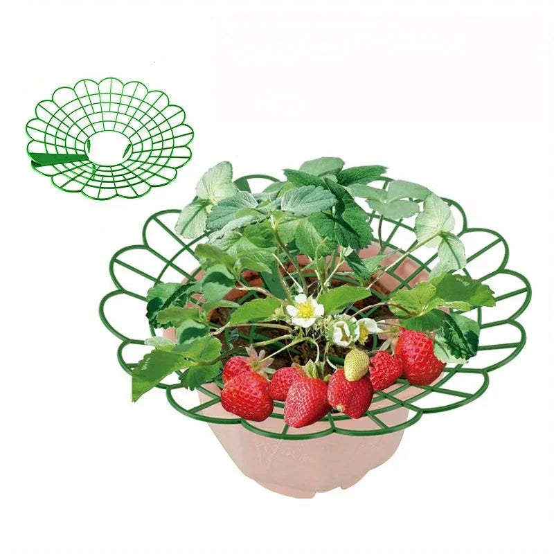 5/10pcs Strawberry Plant Supports with Three Sturdy Legs Provide Protection for Strawberries Against Mold, Rot, and Dirt