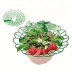 5/10pcs Strawberry Plant Supports with Three Sturdy Legs Provide Protection for Strawberries Against Mold, Rot, and Dirt