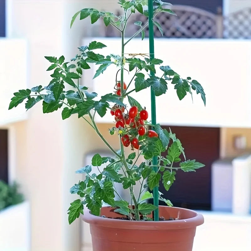 10-Piece Plastic Plant Support Stakes for Indoor Gardening