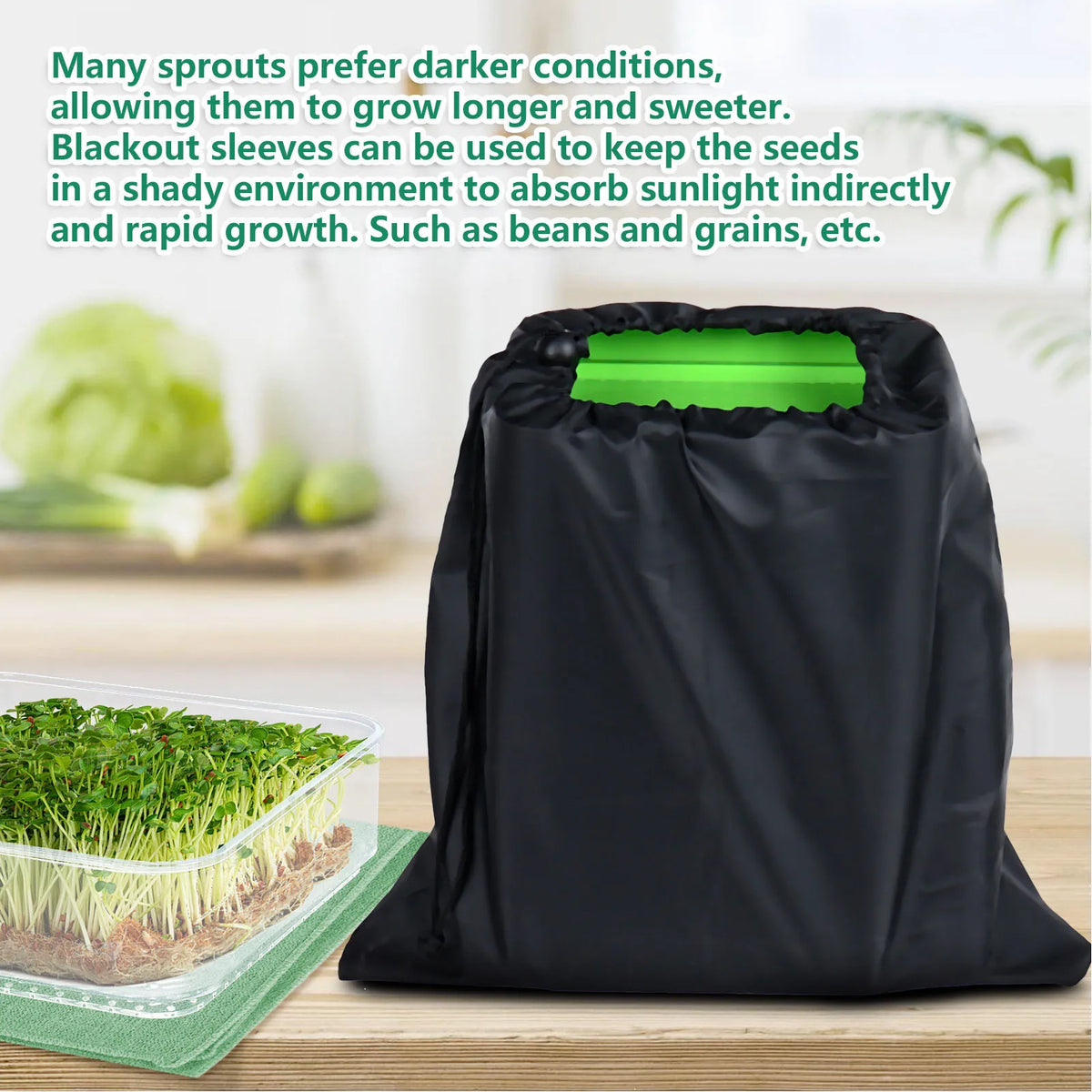 Stackable Sprouter Kit  Plant Grow Trays Easy To Observe Plastic Multipurpose Long Lifespan Space Saving for Bean Sprouts