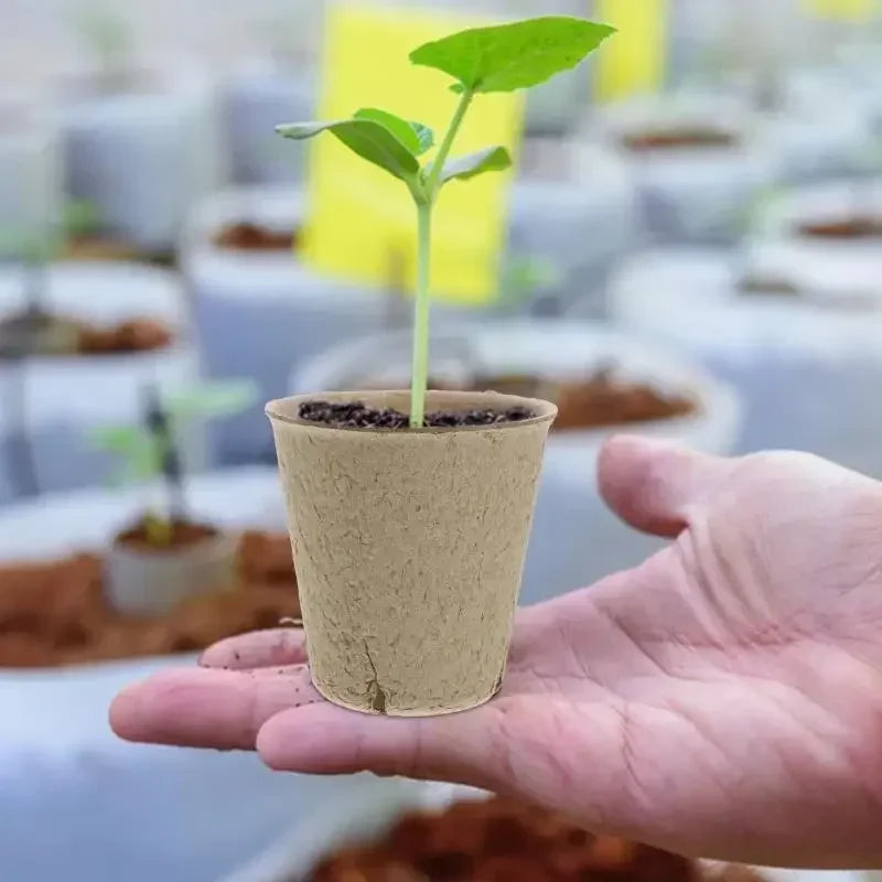 20-160PCS ﻿ 3.15 Inch Biodegradable Paper Pulp Seedling Starter Trays for Garden Planting Nursery Seed Germination Transplanting