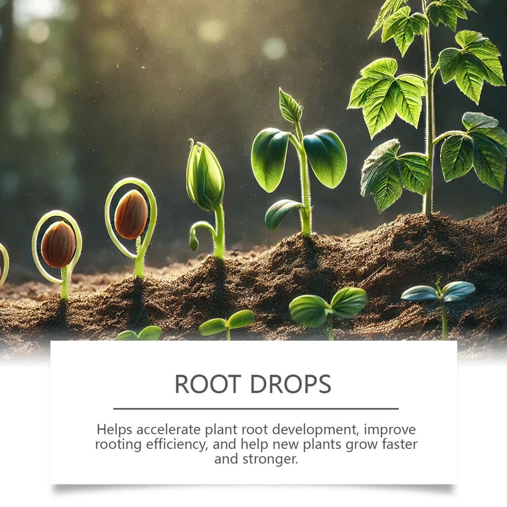 Root Drops for Propagation Rooting Liquid Fertilizer Supplement 100ml Root Booster for Plants Indoor Gardening Outdoor Gardening