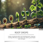 Root Drops for Propagation Rooting Liquid Fertilizer Supplement 100ml Root Booster for Plants Indoor Gardening Outdoor Gardening