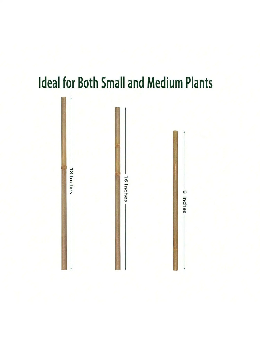 Natural Bamboo Garden Stakes for Climbing Plants
