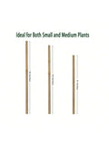 Natural Bamboo Garden Stakes for Climbing Plants