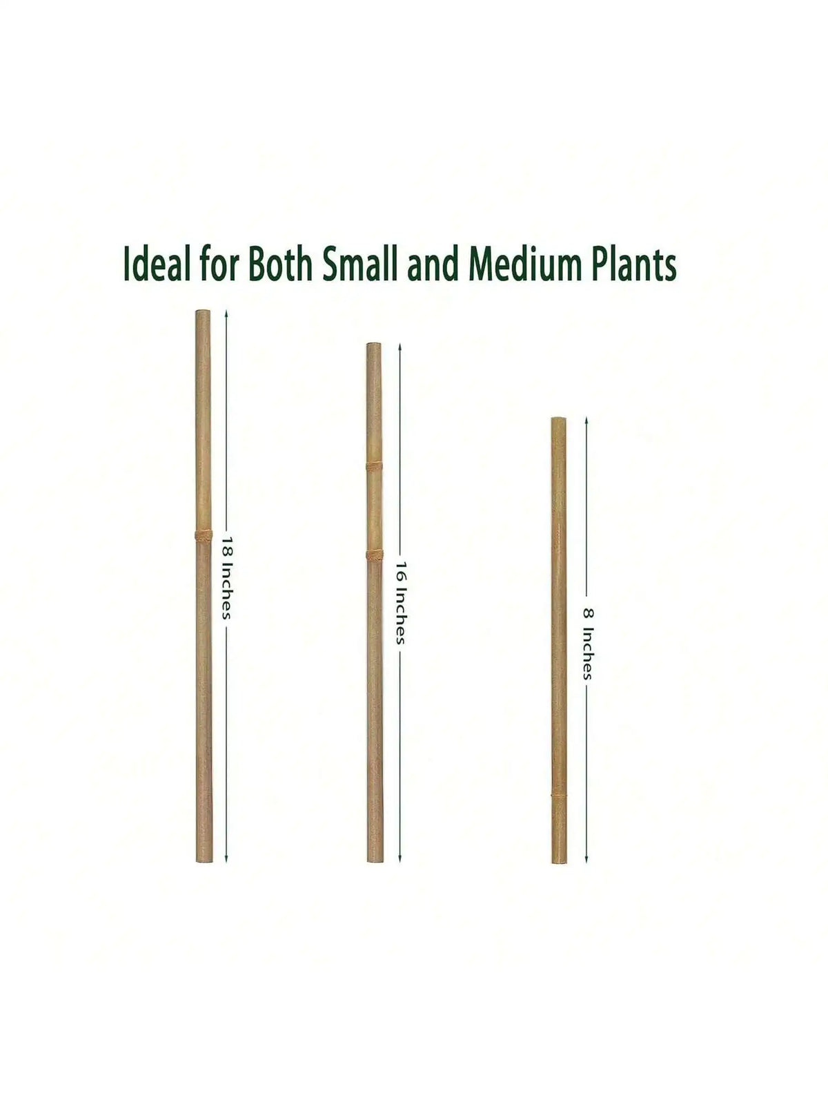Natural Bamboo Garden Stakes for Climbing Plants